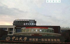 中山大學附屬第一醫院惠亞醫院